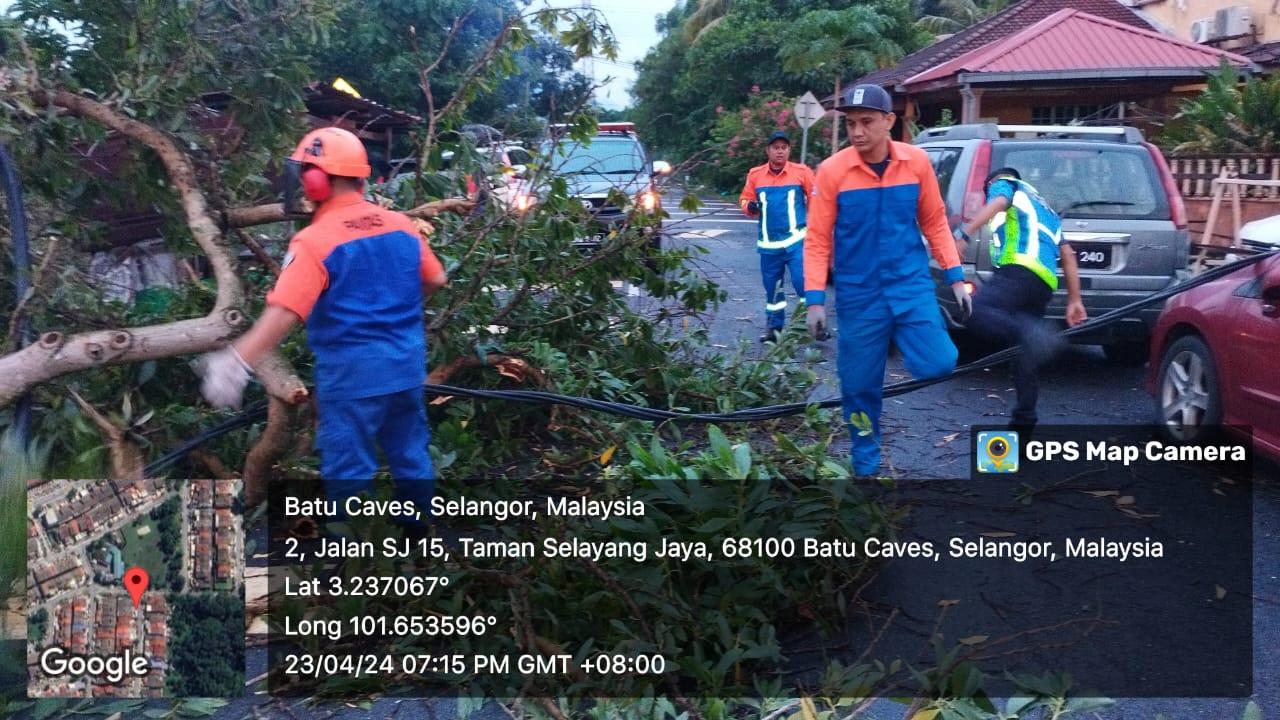 OPERASI ADUAN POKOK TUMBANG
