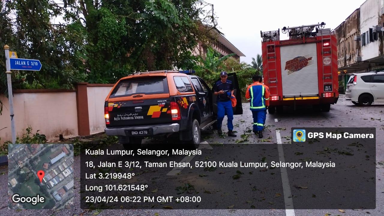 OPERASI ADUAN POKOK TUMBANG
