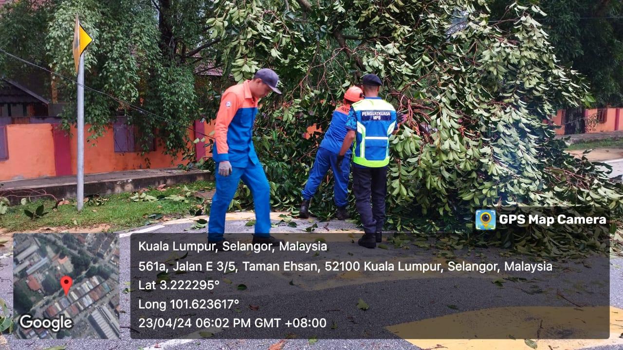 OPERASI ADUAN POKOK TUMBANG