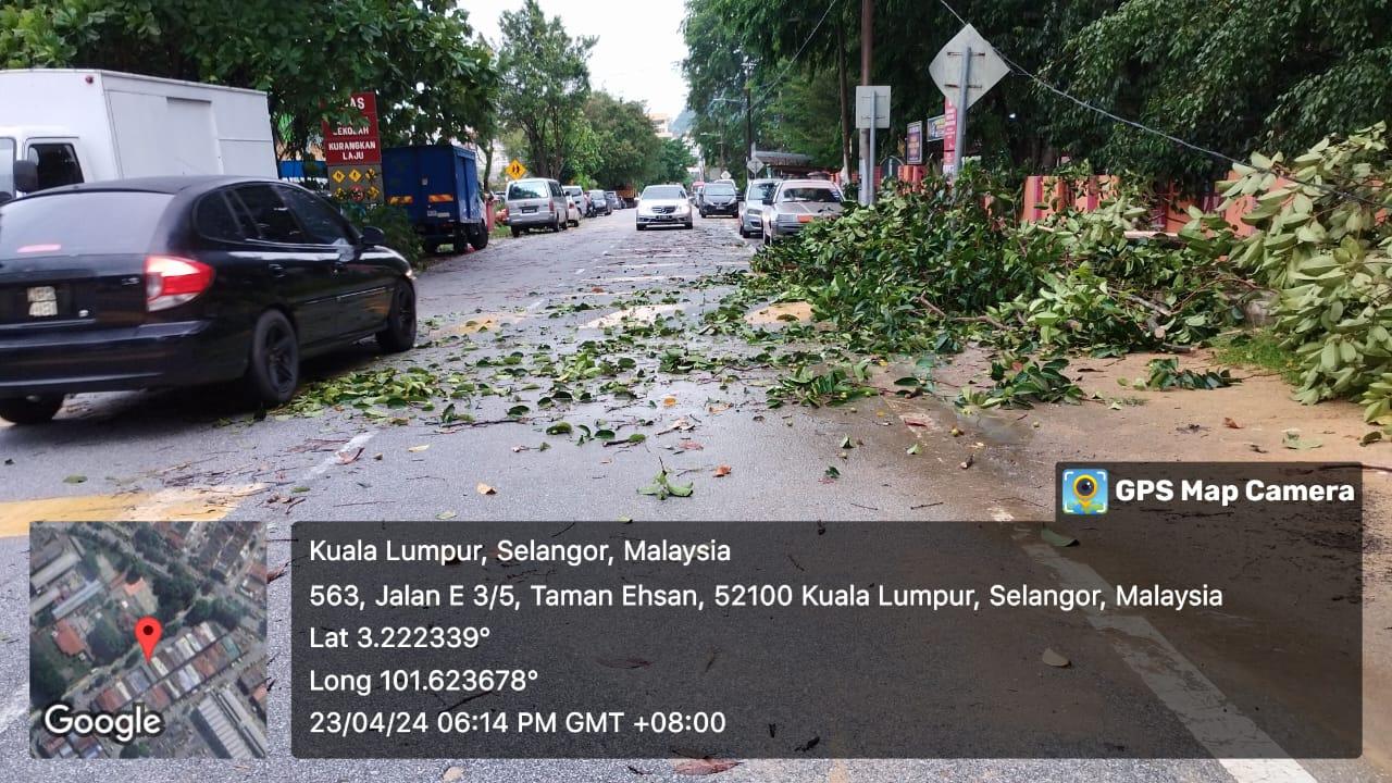 OPERASI ADUAN POKOK TUMBANG
