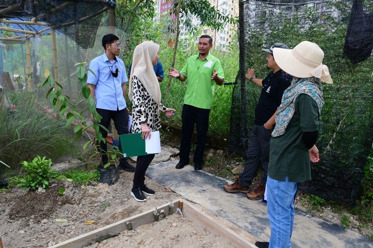 Pertandingan Edible Garden