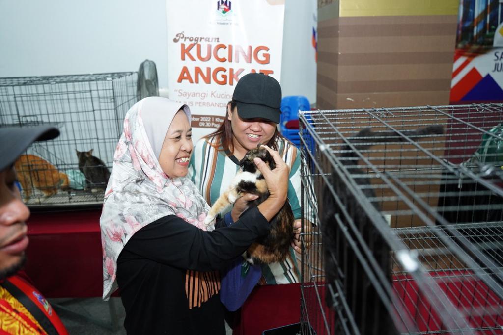 Program Kucing Angkat — Sayangi Kucing Jalanan