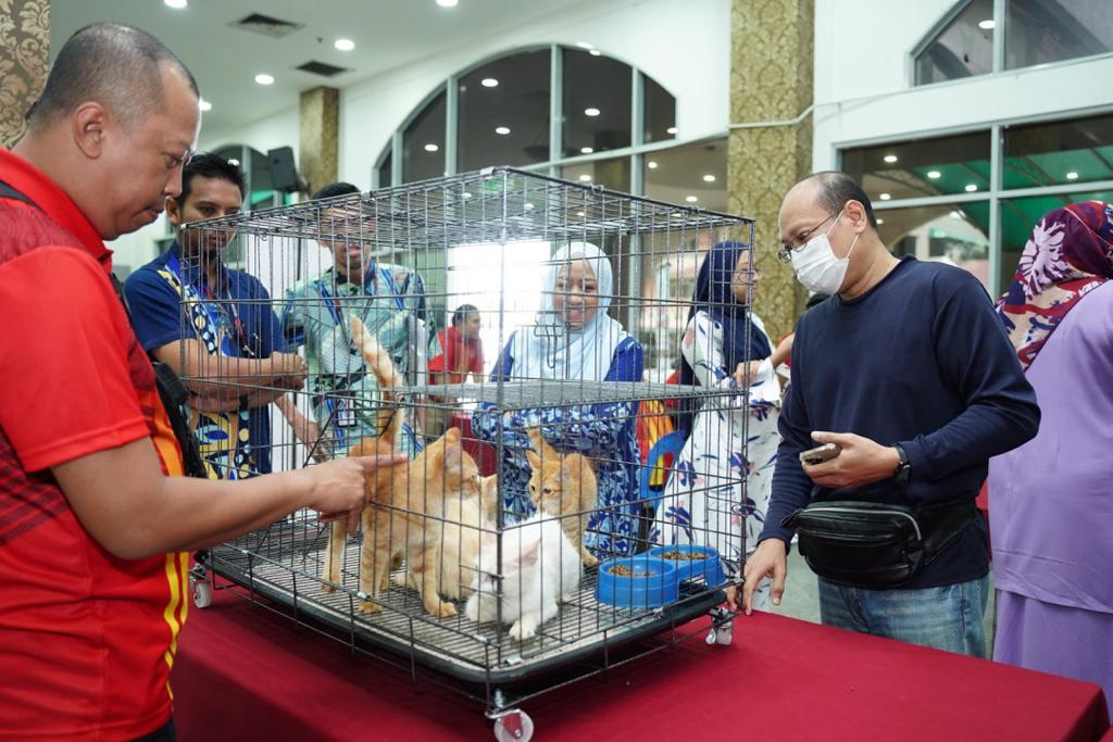 Program Kucing Angkat — Sayangi Kucing Jalanan