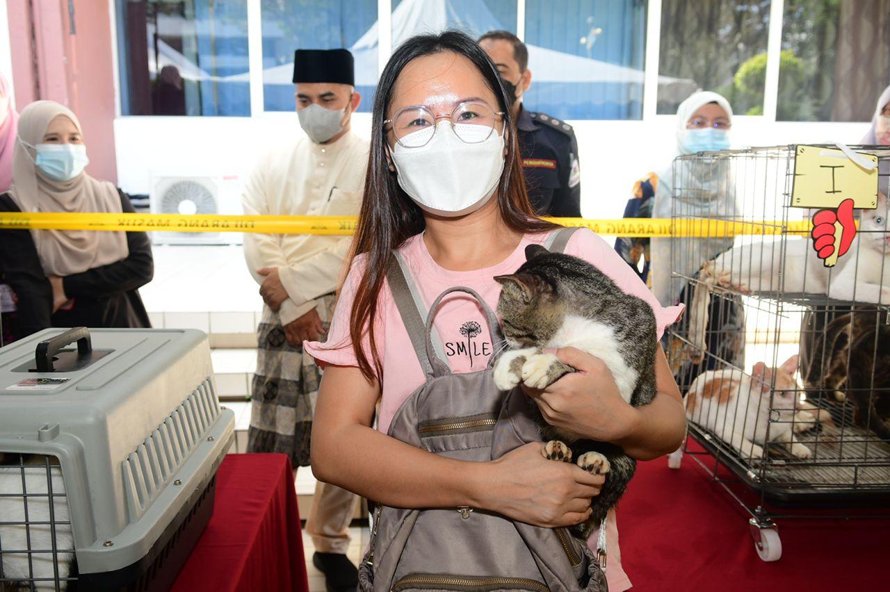 Program We Love Cat