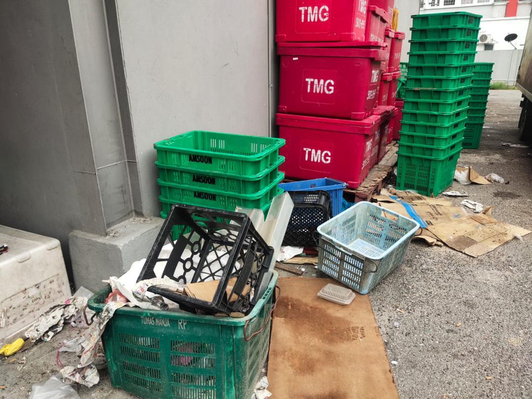 Sarang Pembiakan Aedes