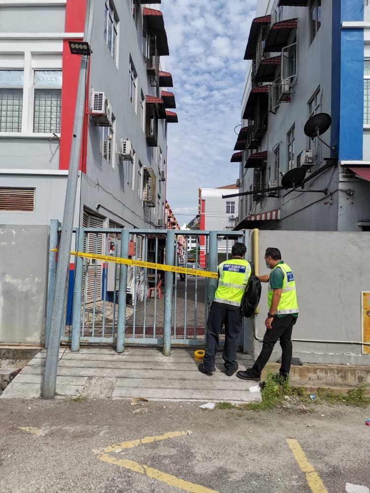 Sarang Pembiakan Aedes
