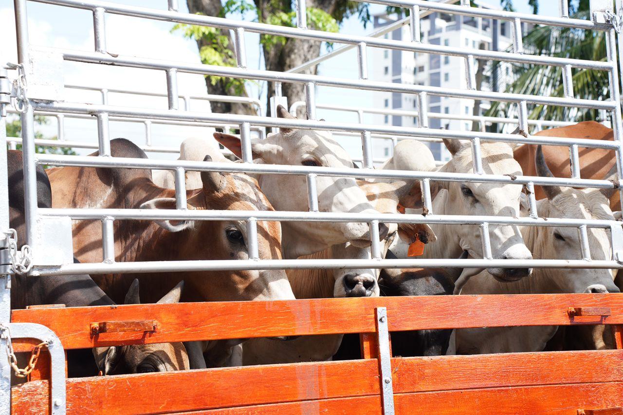 Ibadah Qurban Bersama Dato' Menteri Besar