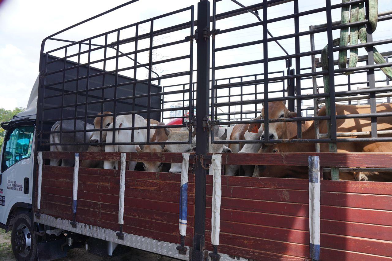 Ibadah Qurban Bersama Dato' Menteri Besar