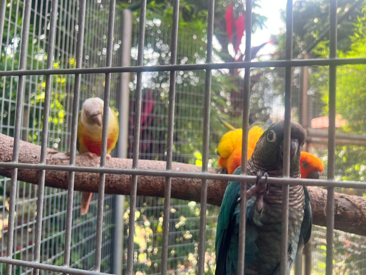 Lawatan Tapak Dan Temu Siasat Oleh BPA