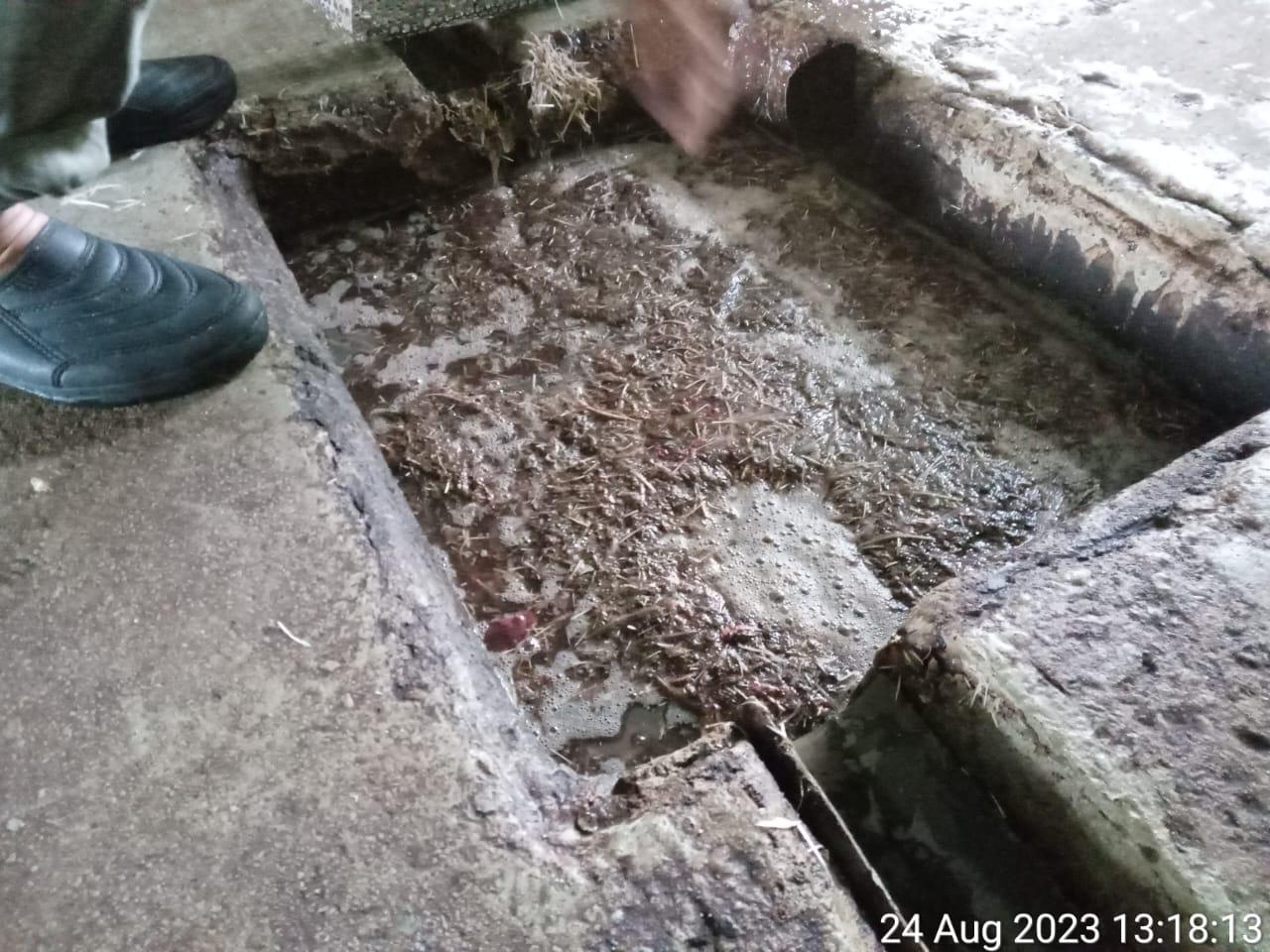 Kilang Sembelihan dan Memproses Ayam Diarah Tutup